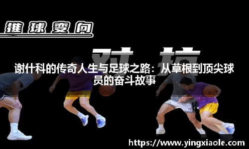 云顶国际官方