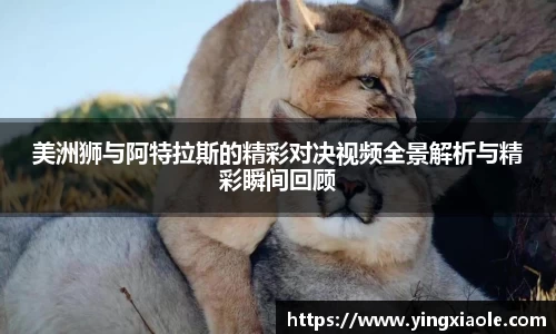 云顶国际