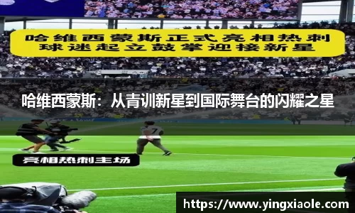 云顶国际